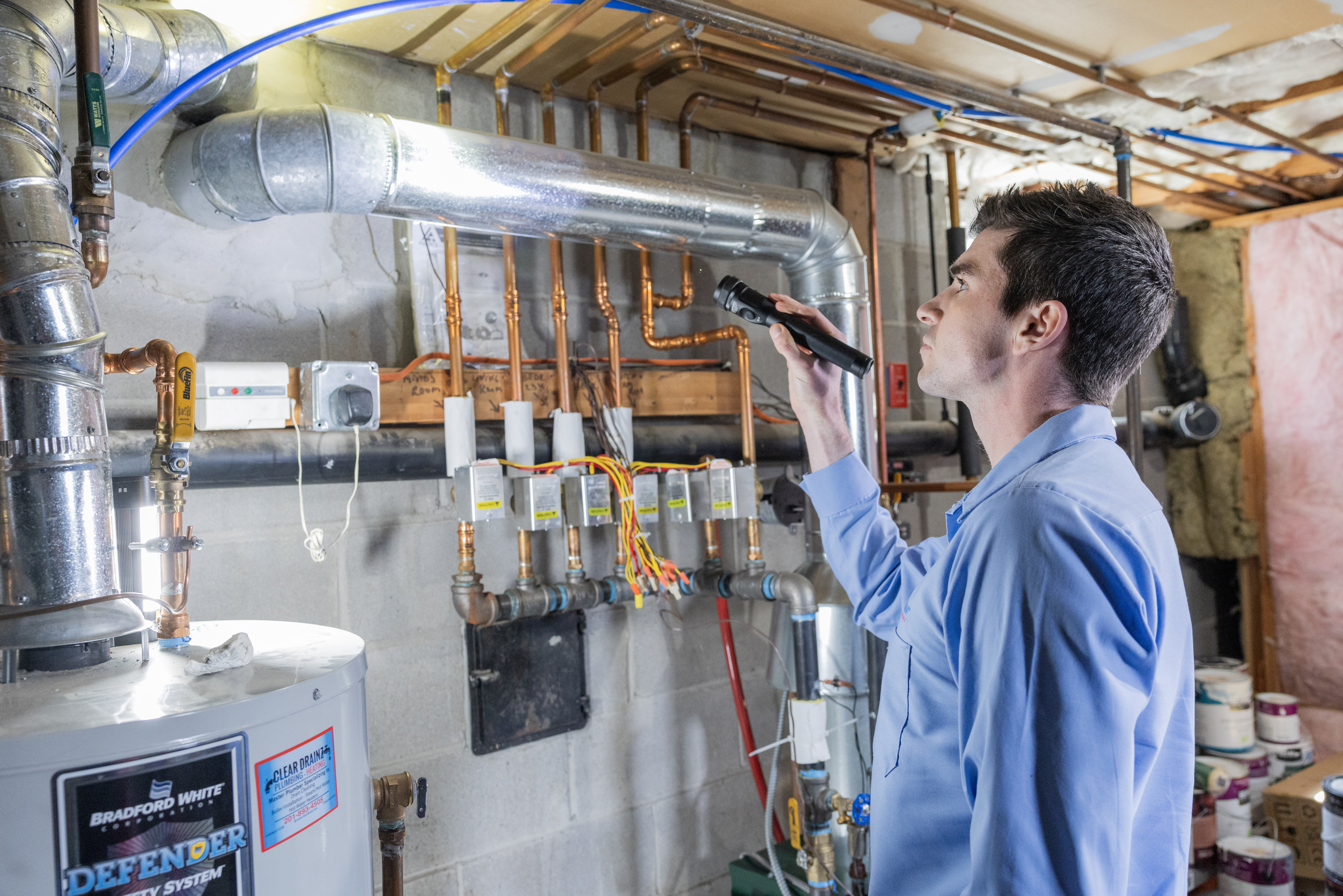 Western Pest How We Get Rid Of Ants