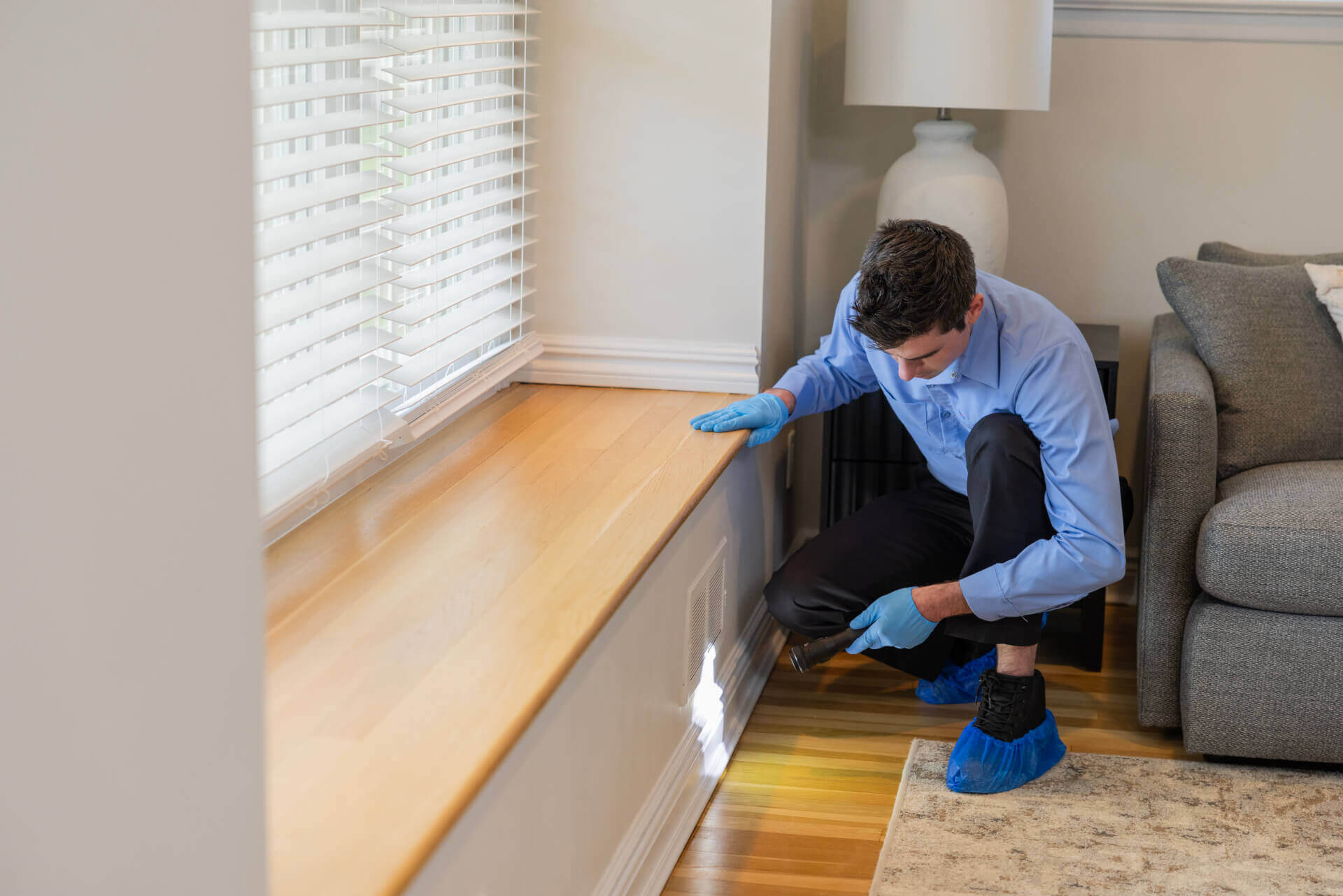 Western Pest How We Get Rid Of Ants