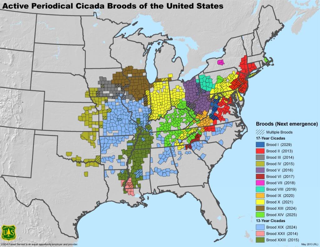 map of the 17 year cicada emergence patterns