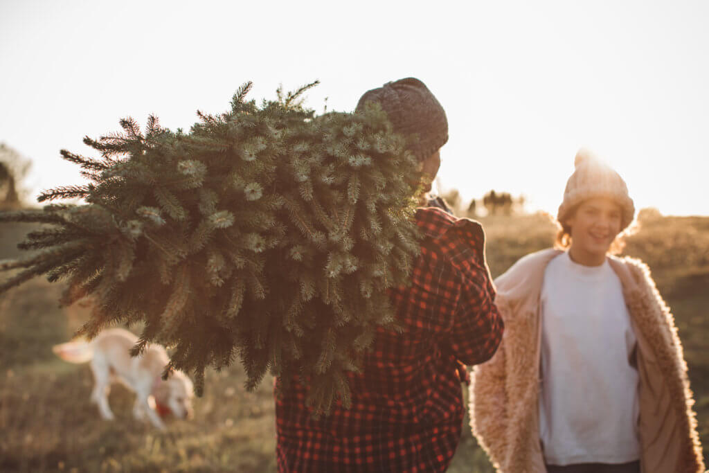 Family Outdoor walking home and carrying Christmas Tree Together