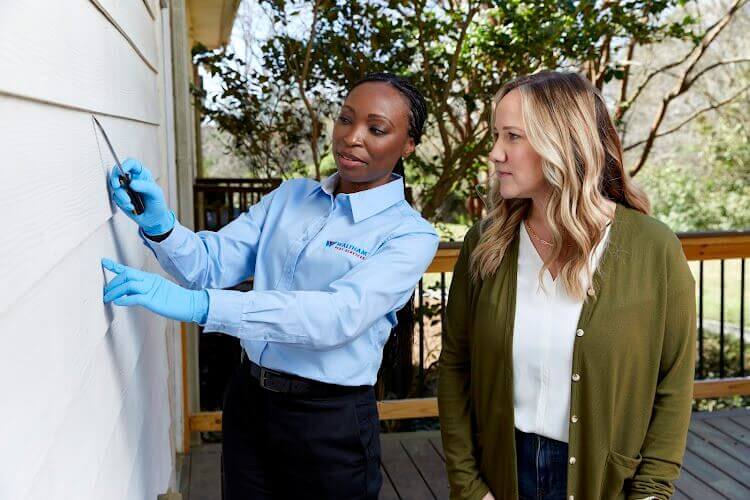Western Pest How We Get Rid Of Ants