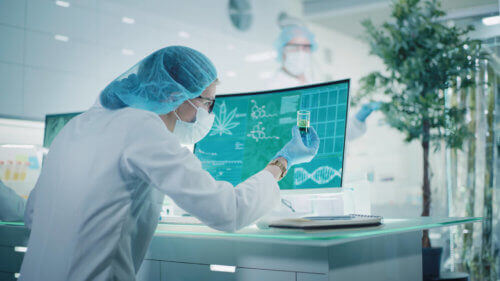 Scientist working in lab. Testing medical marijuana buds, preparing medicine.