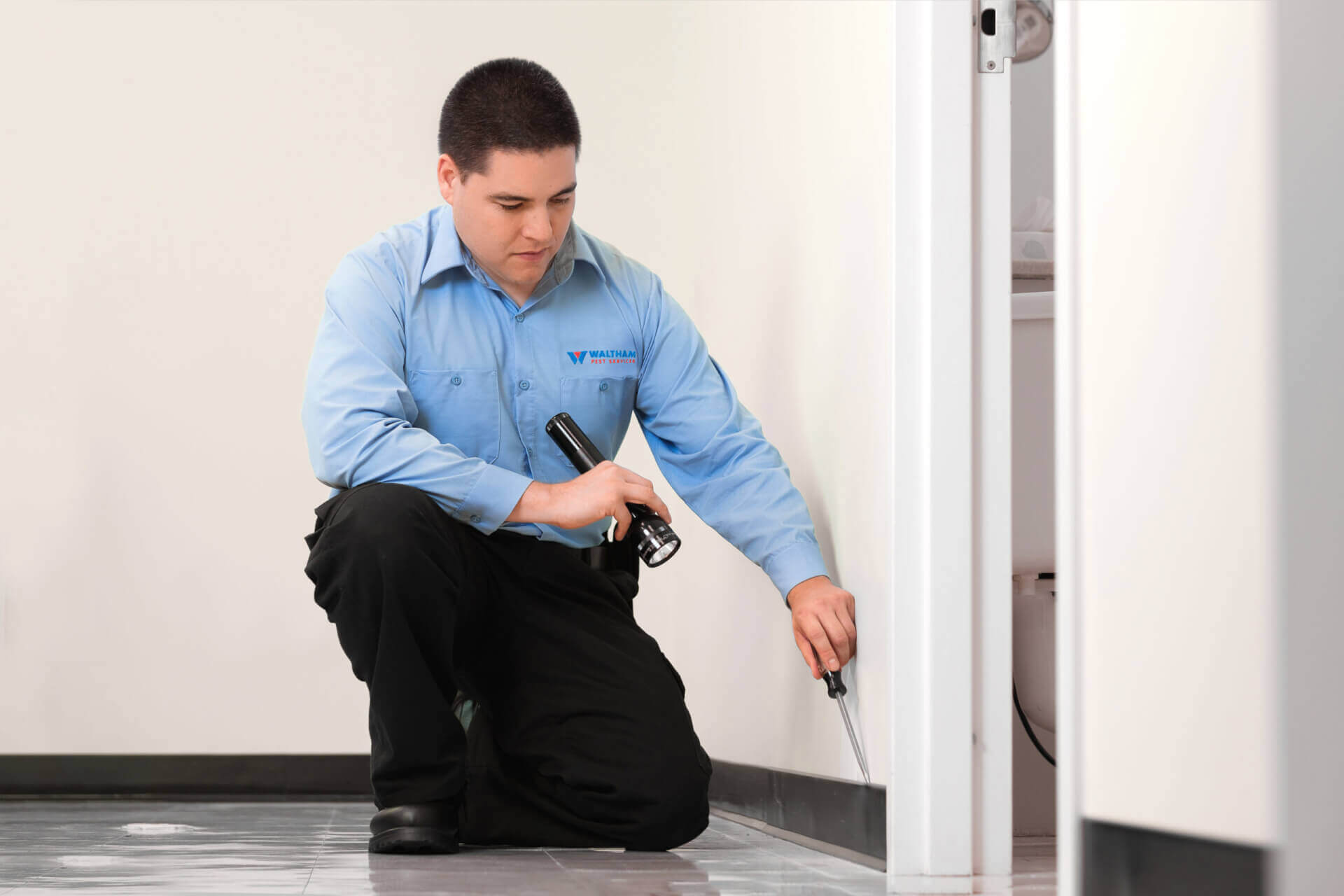 Importance of Pest Control during Apartment Renovations