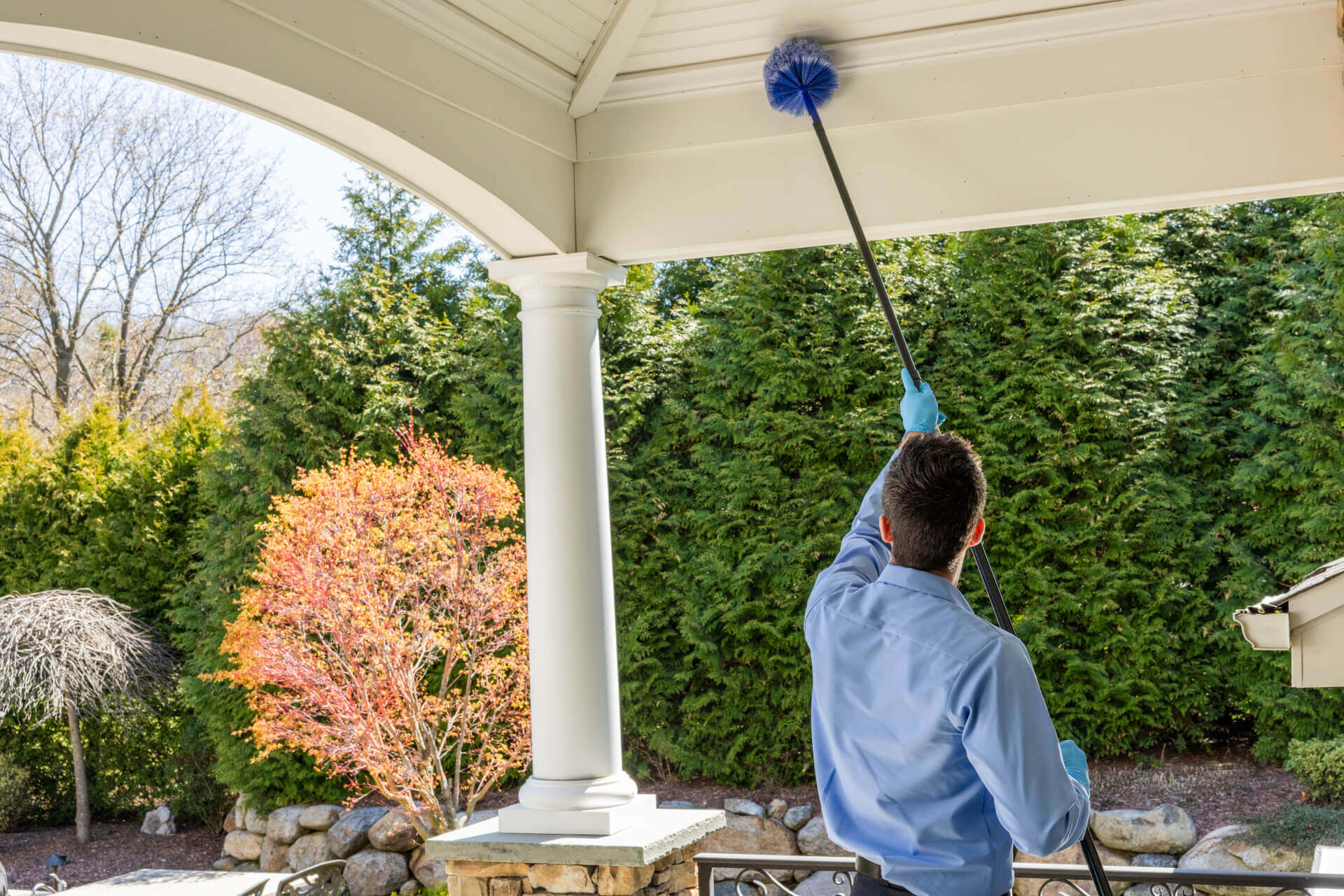 Western Pest How We Get Rid Of Ants